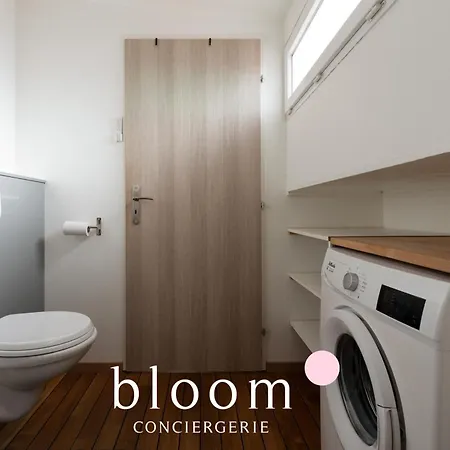 Gare Magnifique Equipe